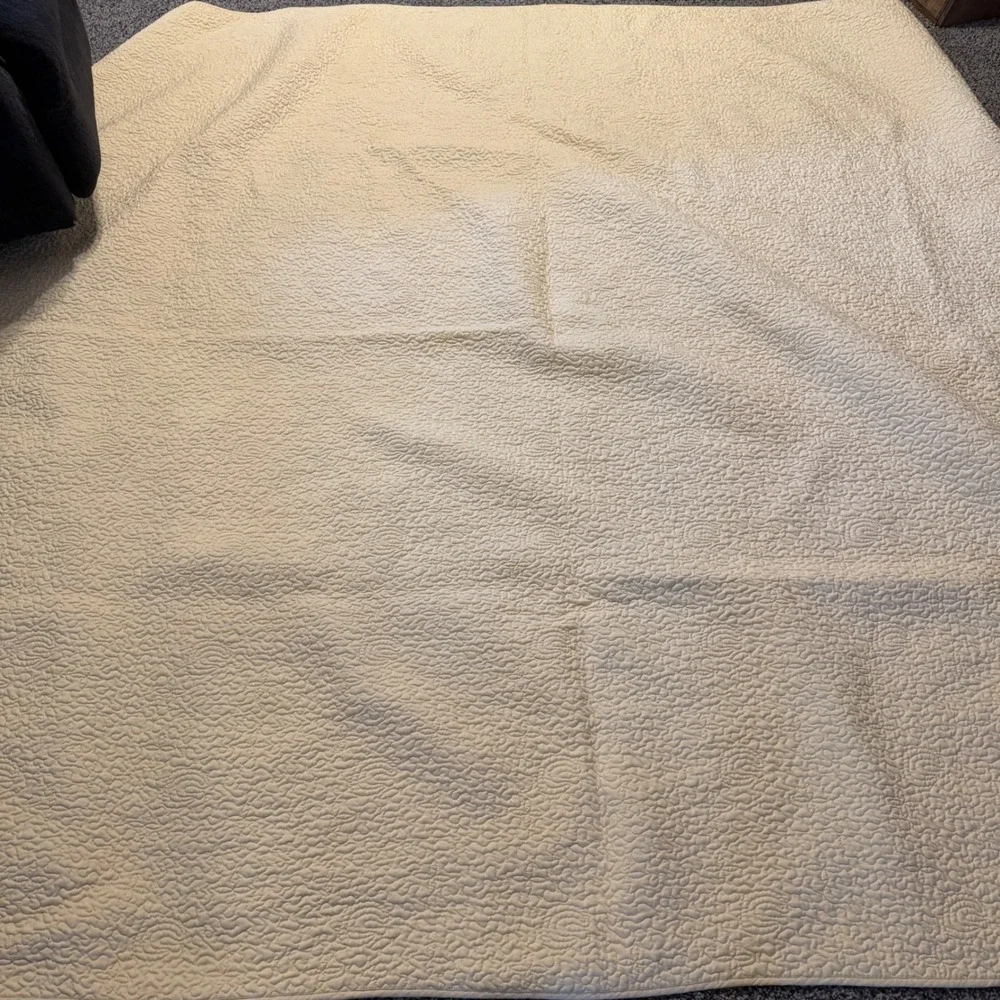 Botanical Floral Fern Quilt Set with 2 Pillow Shams Cotton Blend Cream Multi